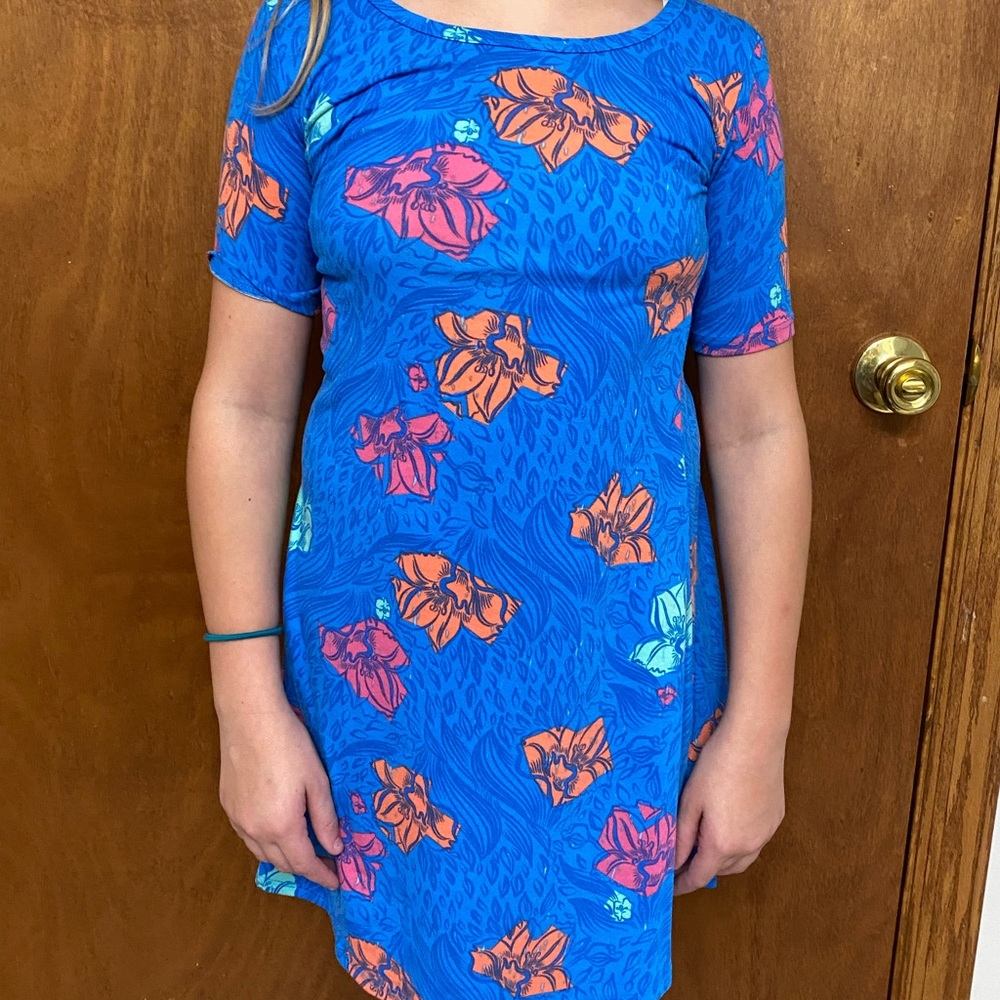 Cute Retro Lularoe Blue Flower Dress